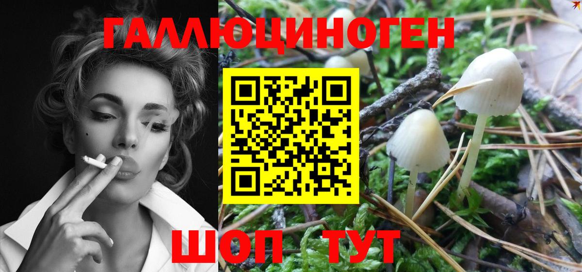 Тула  Галлюциногенные грибы Magic Shrooms  Вход с VPN  Псилоцибиновые грибы мухоморы 